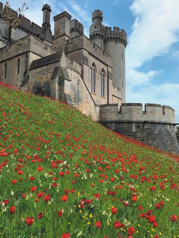 英国初心者の絶景巡り  チューリップが咲き誇るアランデル城